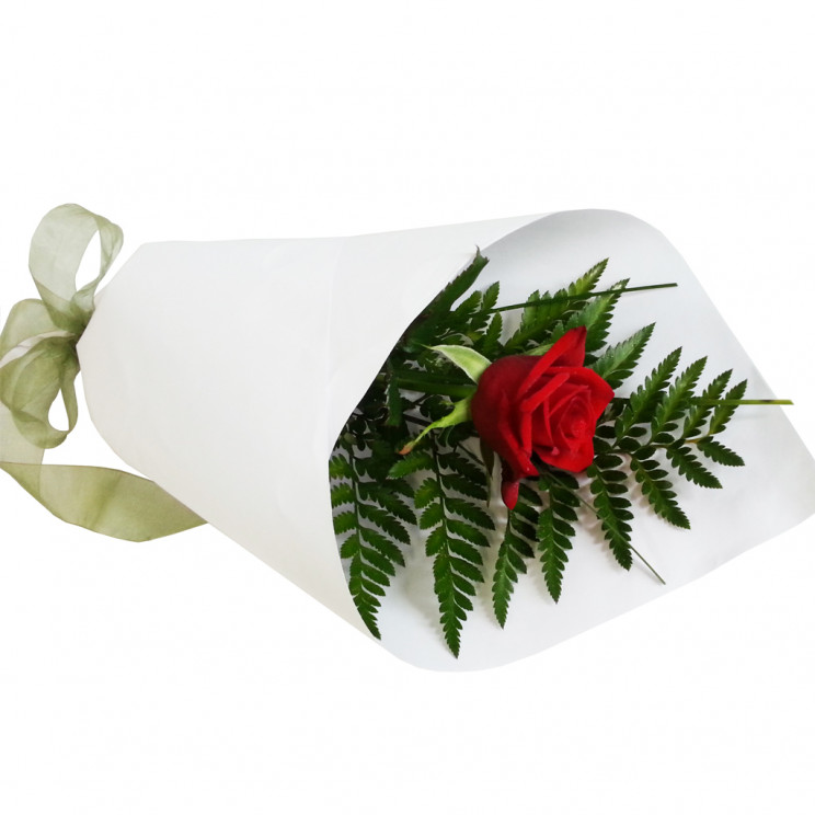 Flowers Delivery Auckland Florist Same Day Flower Delivery