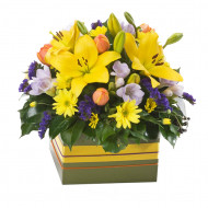 Bright Box Arrangement