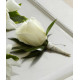 White Rose Buttonhole