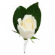 White Rose Buttonhole