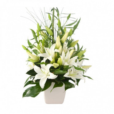 White Lilies