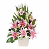 Pink Lilies