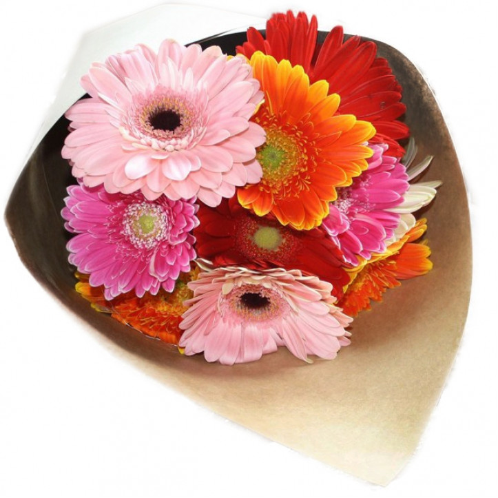 Assorted Gerberas