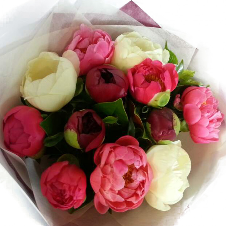 Assorted Peonies Assorted Peonies