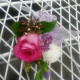 Wrist Corsage White and Pink