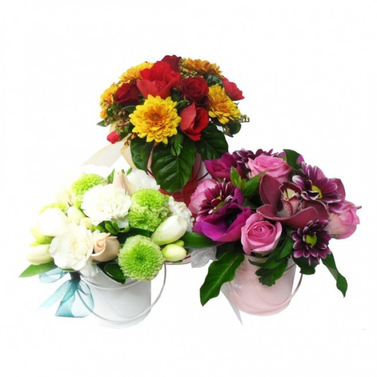 Flowers Delivery Auckland Florist Same Day Flower Delivery