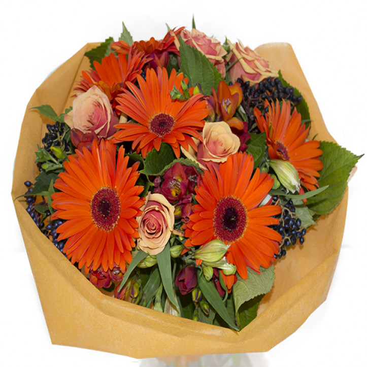 Fiery Gerbera and Rose Fiery Gerbera and Rose