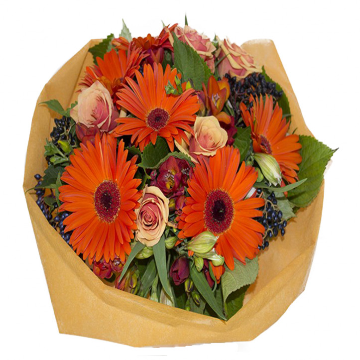 Fiery Gerbera and Rose Fiery Gerbera and Rose