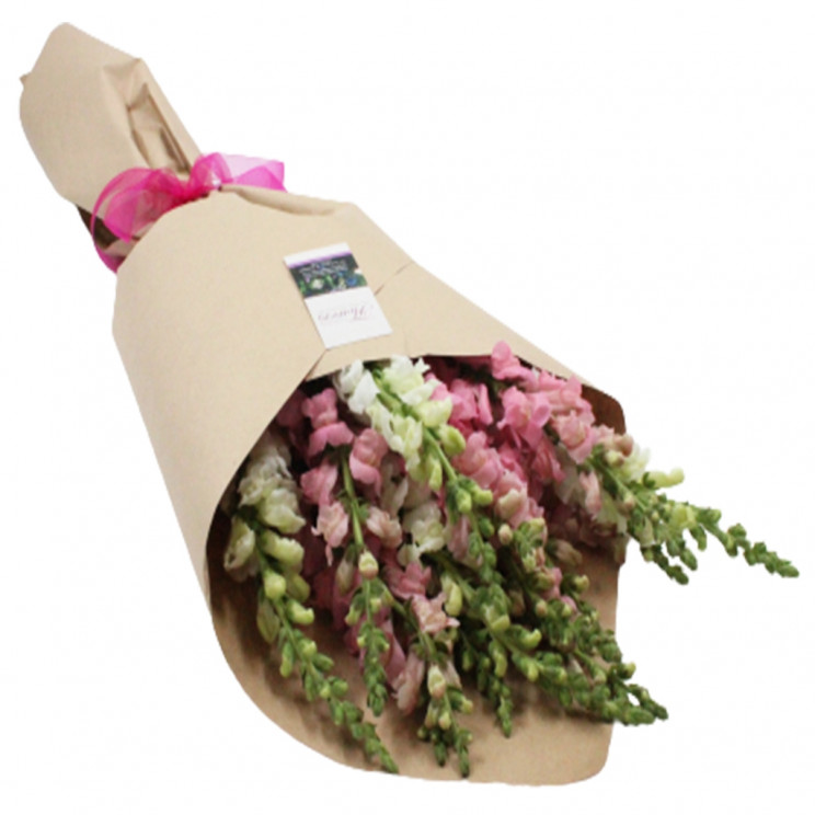 Flowers Delivery Auckland Florist Same Day Flower Delivery