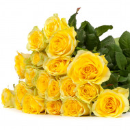 Yellow Roses